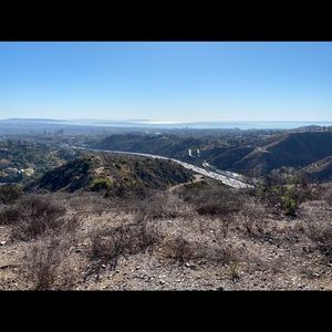 Meet your Posher, Theo